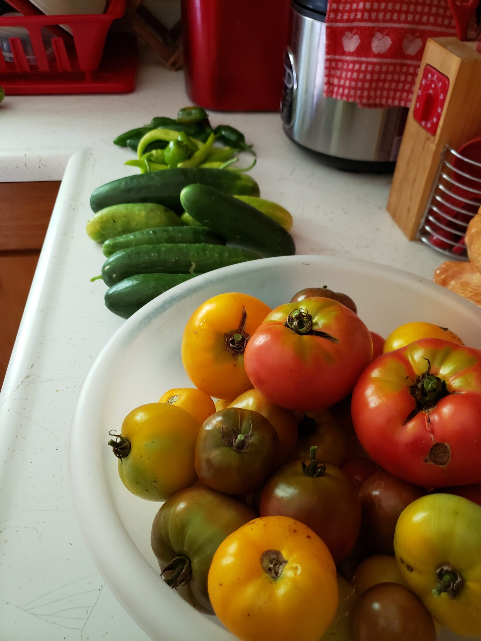 Gardening Joys: Lady E